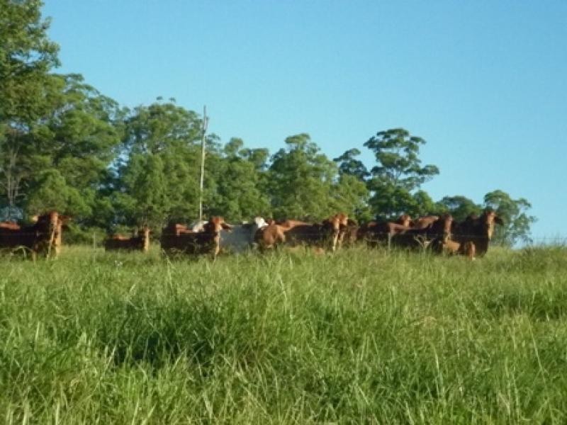 Goomboorian QLD 4570