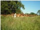 Goomboorian QLD 4570