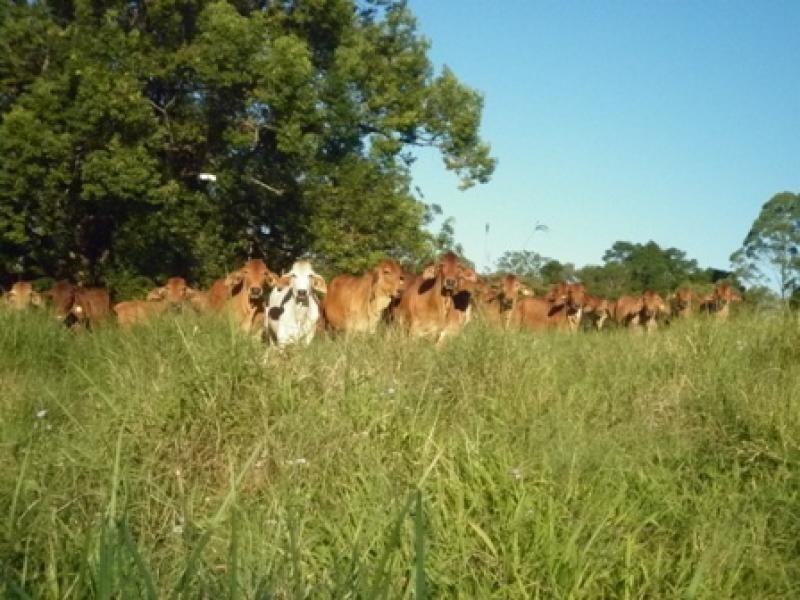 Goomboorian QLD 4570
