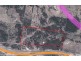 2229 bruce hwy, Coles Creek QLD 4570