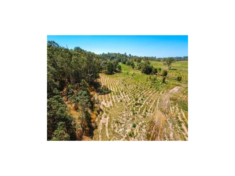 2229 bruce hwy, Coles Creek QLD 4570