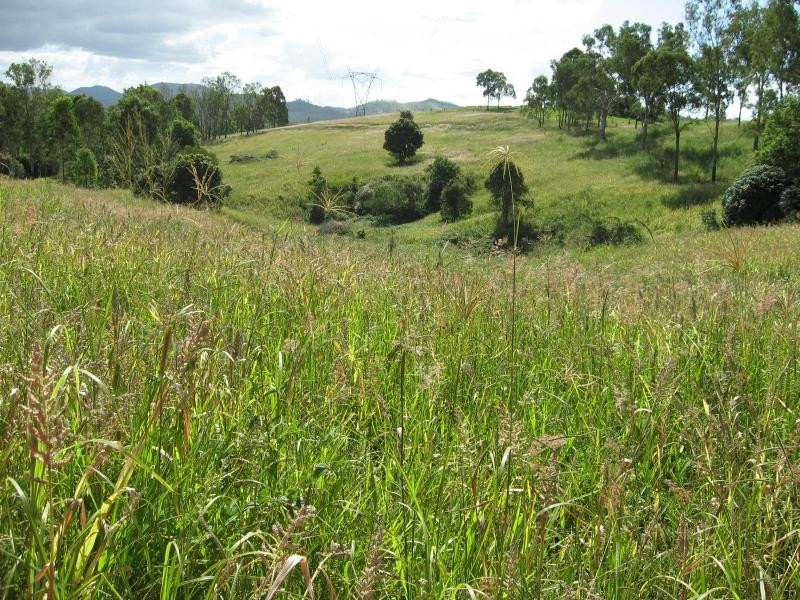 Glastonbury QLD 4570