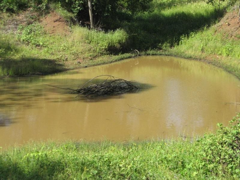 Glastonbury QLD 4570