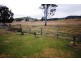 Wolvi QLD 4570