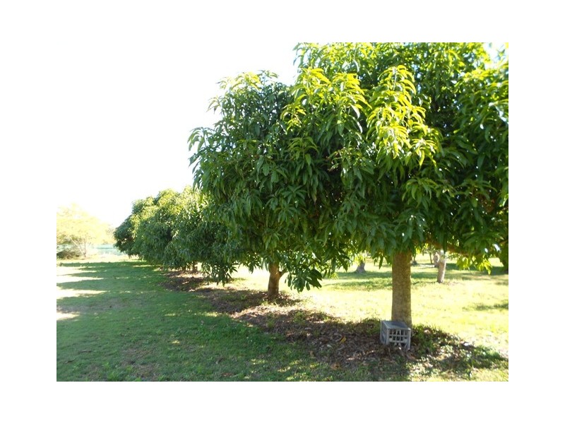 2354 Anderleigh Rd, Neerdie QLD 4570