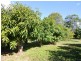 2354 Anderleigh Rd, Neerdie QLD 4570