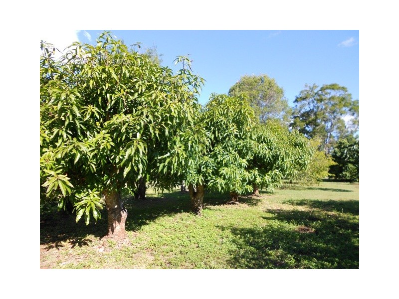 2354 Anderleigh Rd, Neerdie QLD 4570