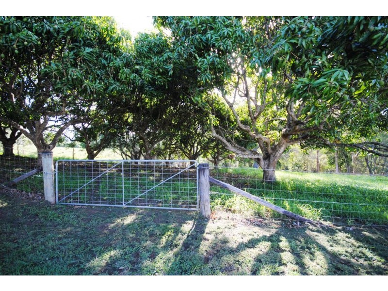 174 Wilsons Pocket, Wilsons Pocket QLD 4570