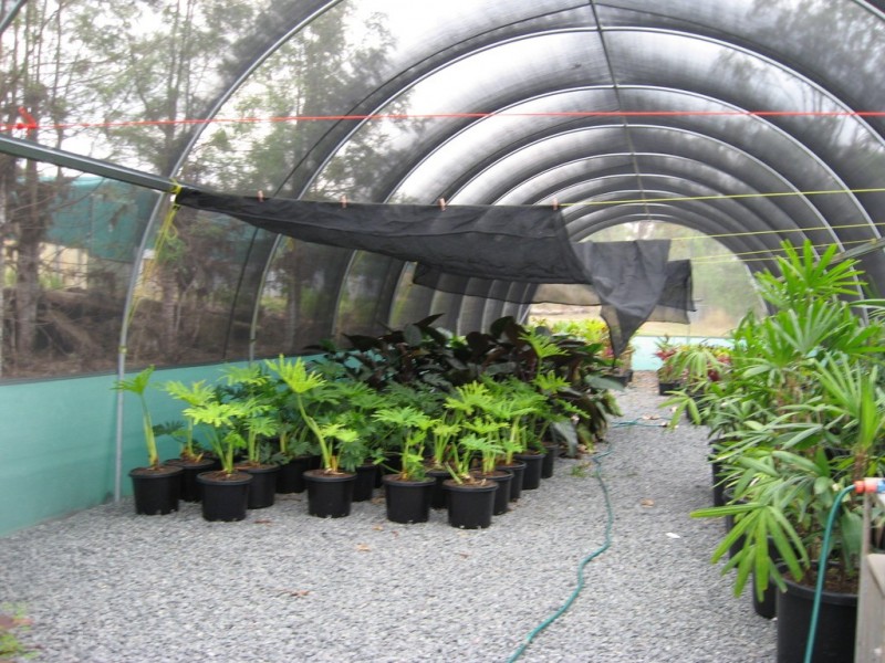 164 Hayes Rd,, Lower Wonga QLD 4570