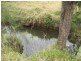 164 Hayes Rd,, Lower Wonga QLD 4570
