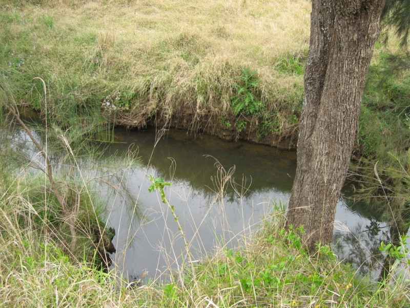 164 Hayes Rd,, Lower Wonga QLD 4570
