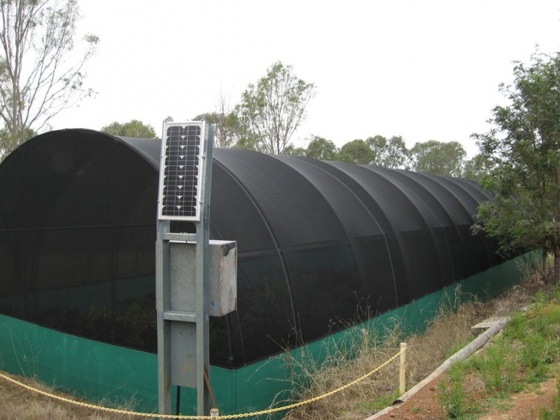 164 Hayes Rd,, Lower Wonga QLD 4570