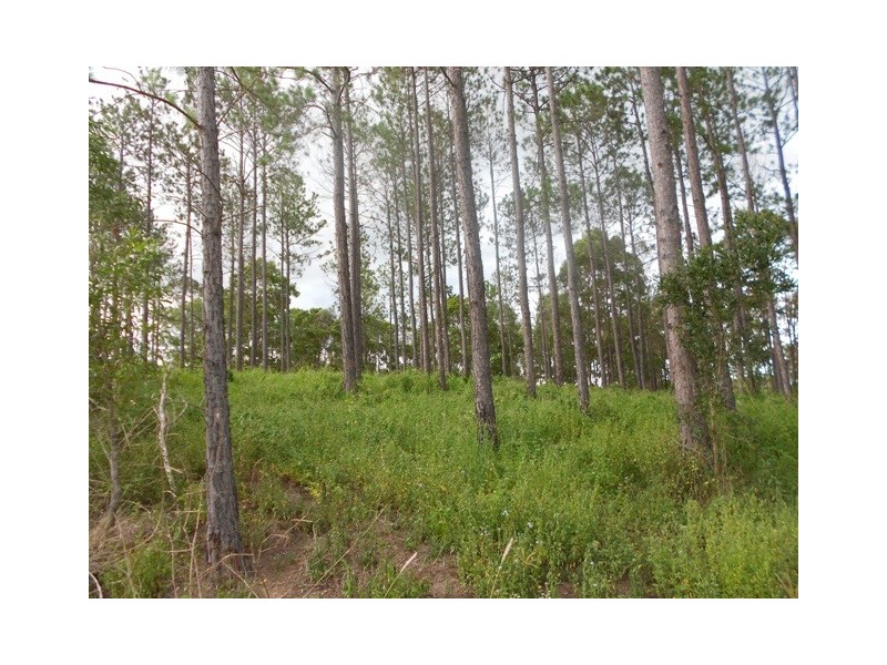 Lot 176 Stevenson Rd, Glenwood QLD 4570