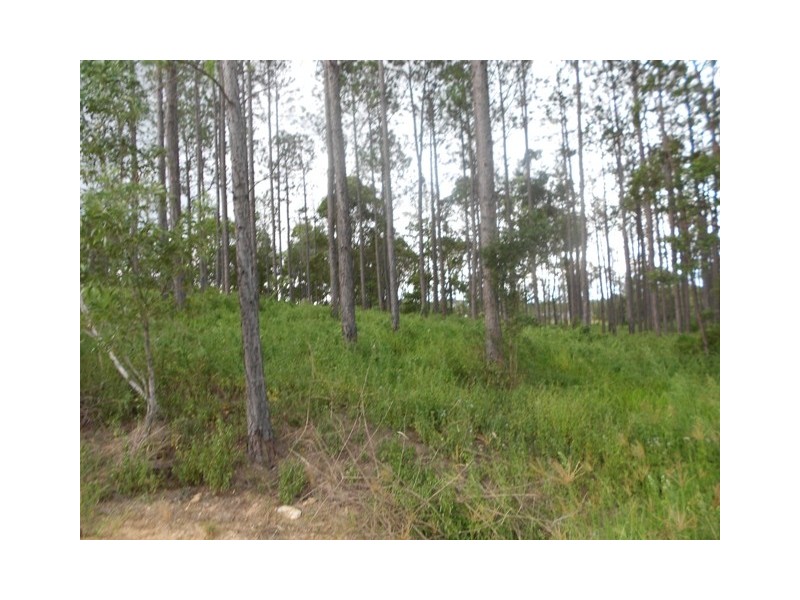 Lot 176 Stevenson Rd, Glenwood QLD 4570