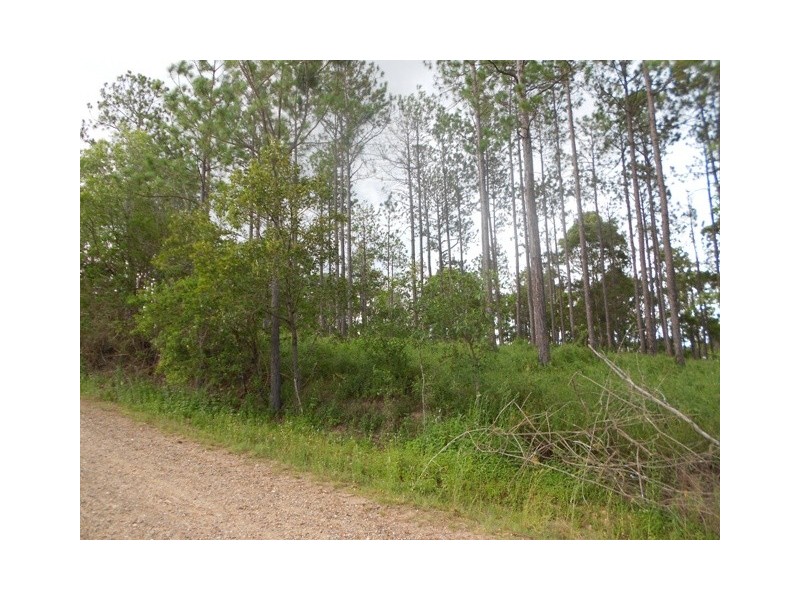 Lot 176 Stevenson Rd, Glenwood QLD 4570