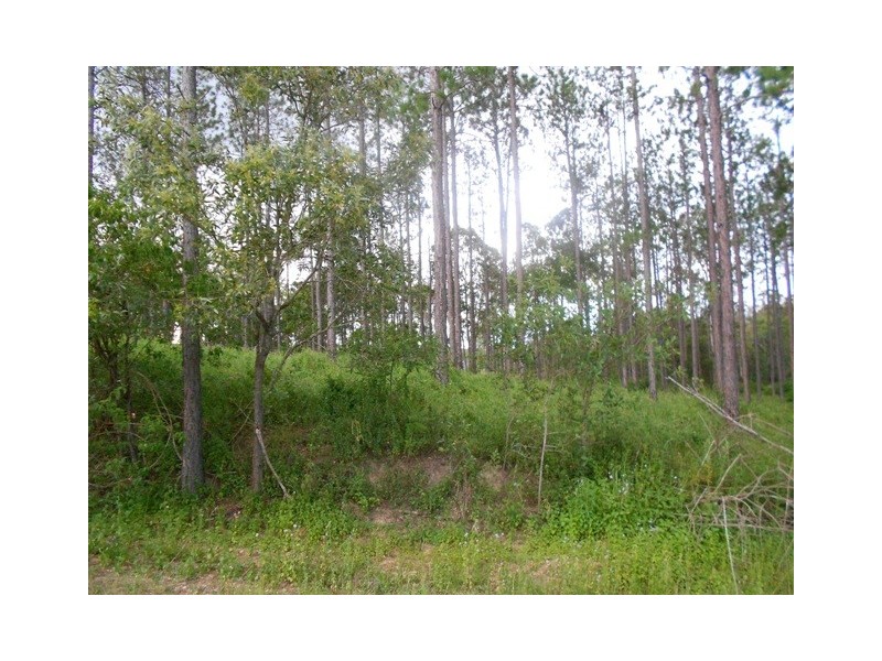 Lot 177 and 176 Stevenson Rd, Glenwood QLD 4570