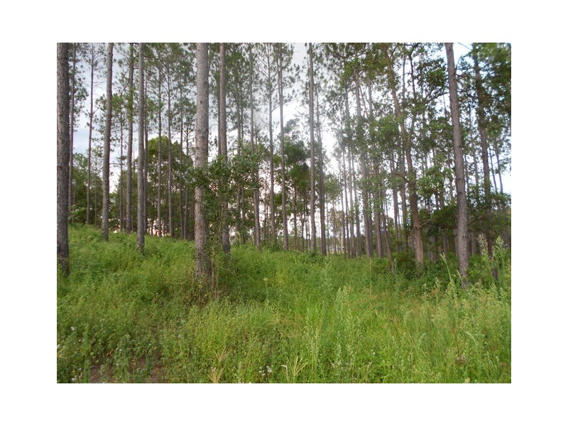 Lot 177 and 176 Stevenson Rd, Glenwood QLD 4570