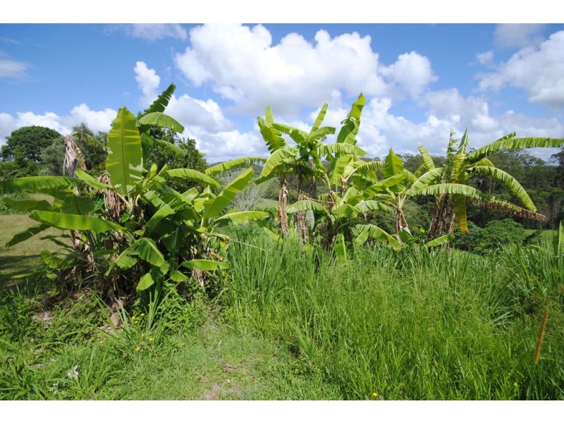 62 Window Rd, Canina QLD 4570