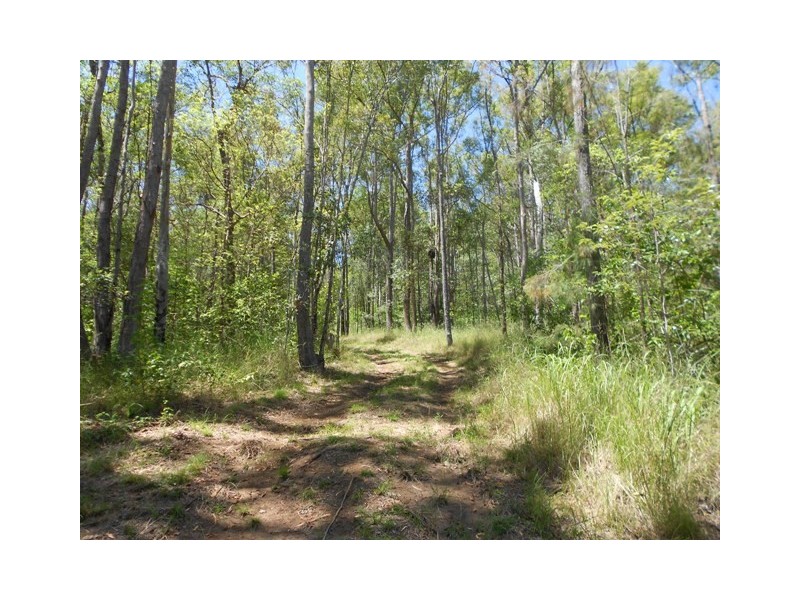 600 Lowe Rd, Bollier QLD 4570