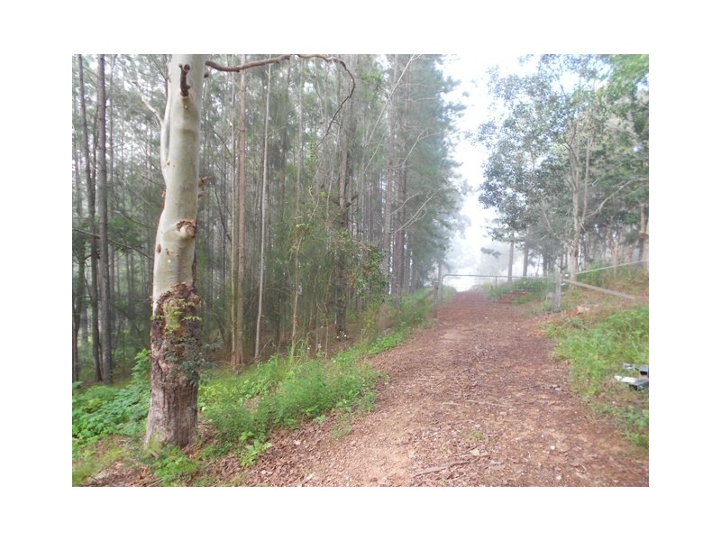 46 Morley Rd, Canina QLD 4570