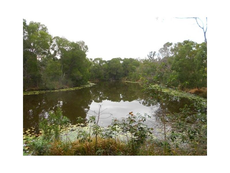 168 Fritz Rd, Chatsworth QLD 4570