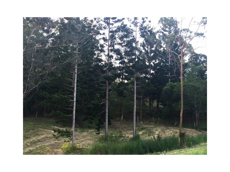 42-46 Morley Rd, Canina QLD 4570