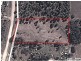 Lot 570 Arborcrescent Rd, Glenwood QLD 4570