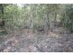 lot 91 Arboreighteen, Glenwood QLD 4570