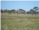 Lot 289 Mudlo Rd,, Kilkivan QLD 4600