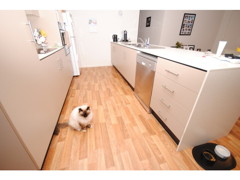 1 sproule Road, Victory Heights QLD 4570