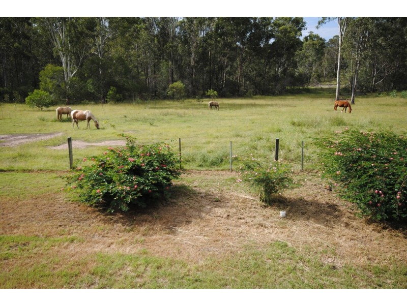 737 Old Gympie, Paterson QLD 4570