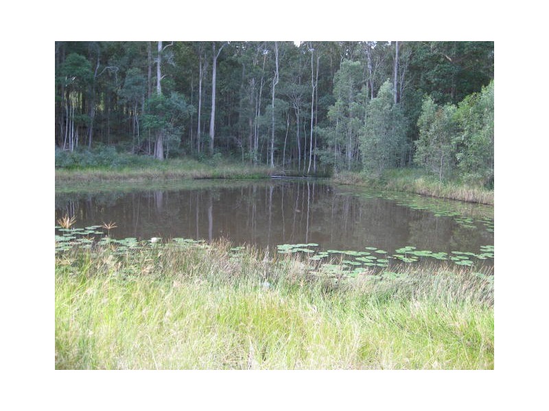 193 MADILL ROAD, Tandur QLD 4570