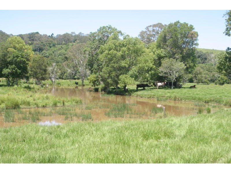 Tucki Tucki NSW 2480