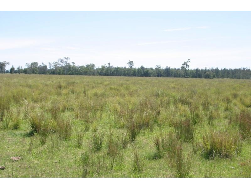 45 MUNRO WHARF ROAD, Tucki Tucki NSW 2480