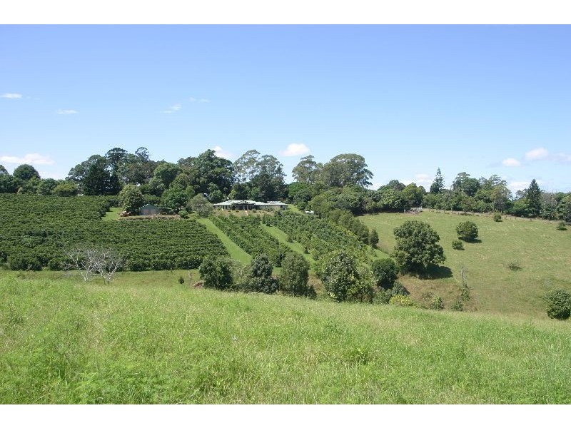 Koonorigan NSW 2480