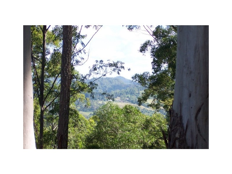 Jiggi NSW 2480
