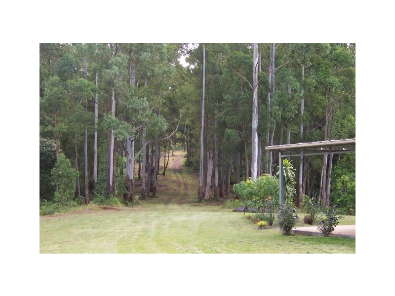 Jiggi NSW 2480