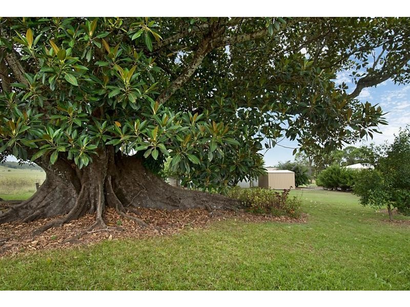 8 Figtree Lane, Mckees Hill NSW 2480