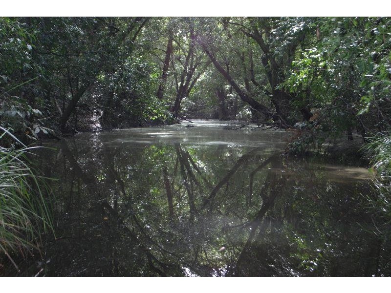 Bungawalbin NSW 2469