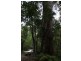 Lismore NSW 2480