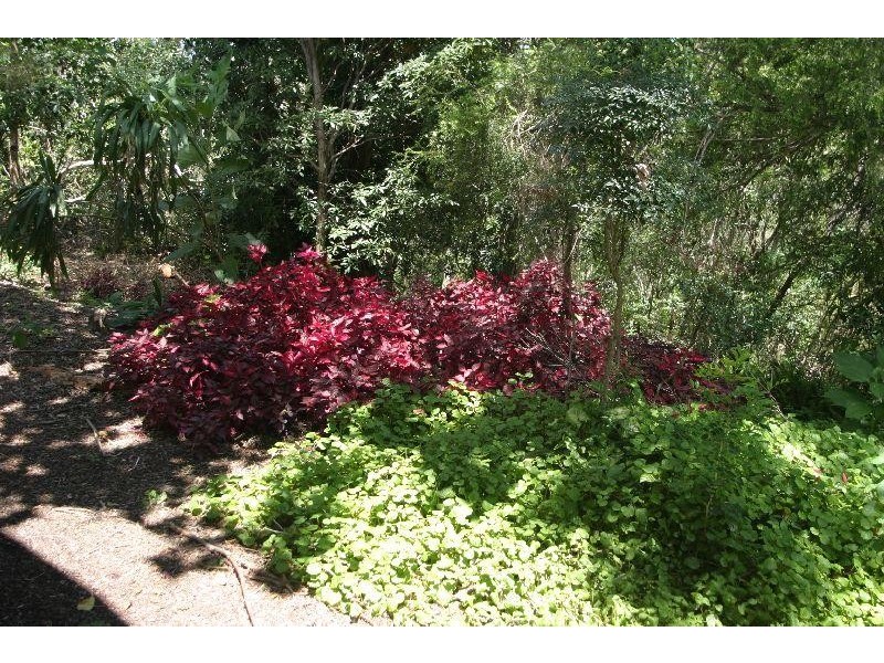 Richmond Hill NSW 2480