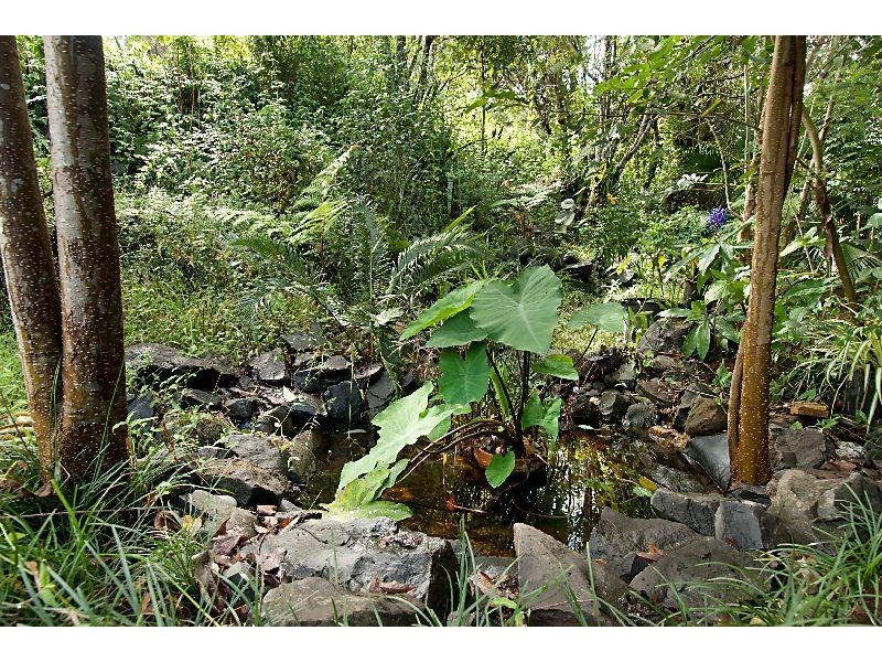 11 JASMYNE STREET, Lismore NSW 2480