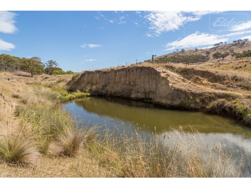 Lot 101 Mount Burra, Burra NSW 2620