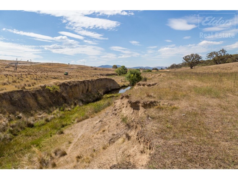 Lot 101 Mount Burra, Burra NSW 2620