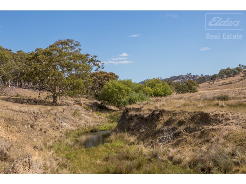 Lot 101 Mount Burra, Burra NSW 2620