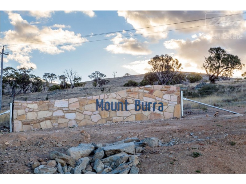 Lot 102 Mount Burra, Burra NSW 2620