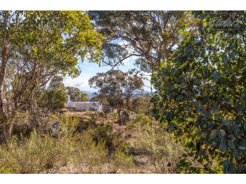 502 Trig Lane, Carwoola NSW 2620