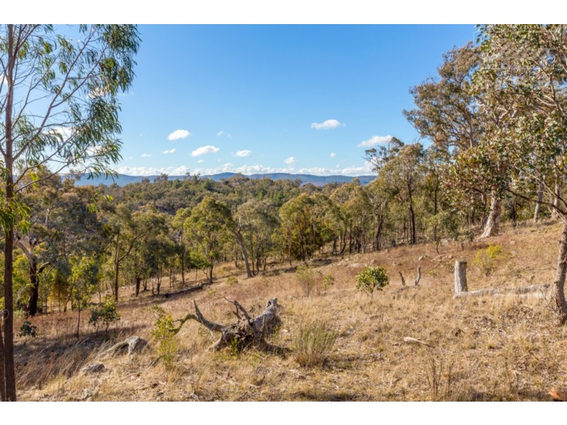 502 Trig Lane, Carwoola NSW 2620
