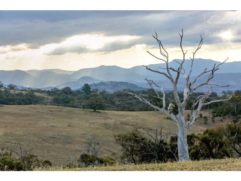 1995 Old Cooma Road, Royalla NSW 2620