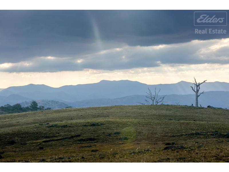 1995 Old Cooma Road, Royalla NSW 2620